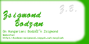 zsigmond bodzan business card